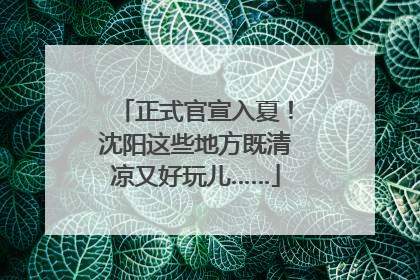 正式官宣入夏！沈阳这些地方既清凉又好玩儿……